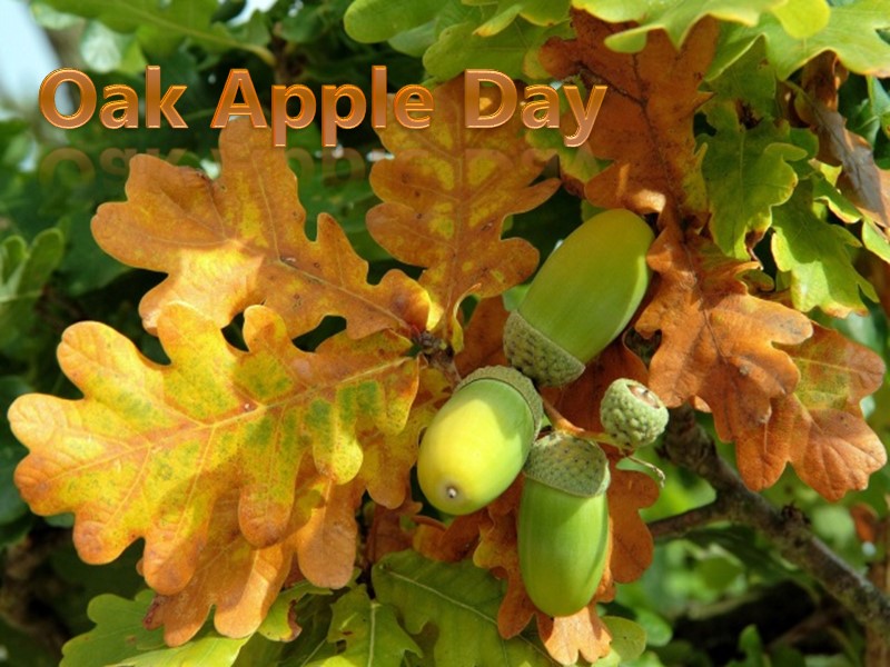 Oak Apple Day